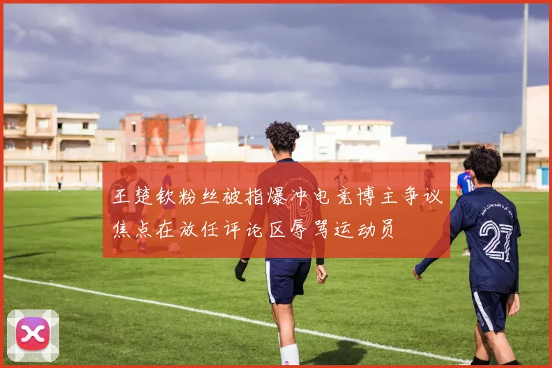 王楚钦粉丝被指爆冲电竞博主争议焦点在放任评论区辱骂运动员